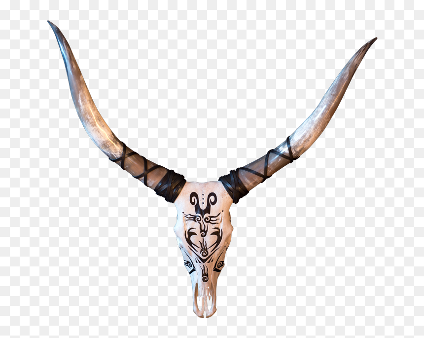 Transparent Goat Skull Png - Bull, Png Download - bull skull png