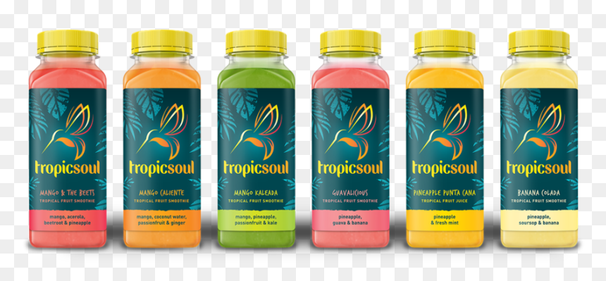 Tropicsoul Lineup Final Sm, HD Png Download - tropical drink png