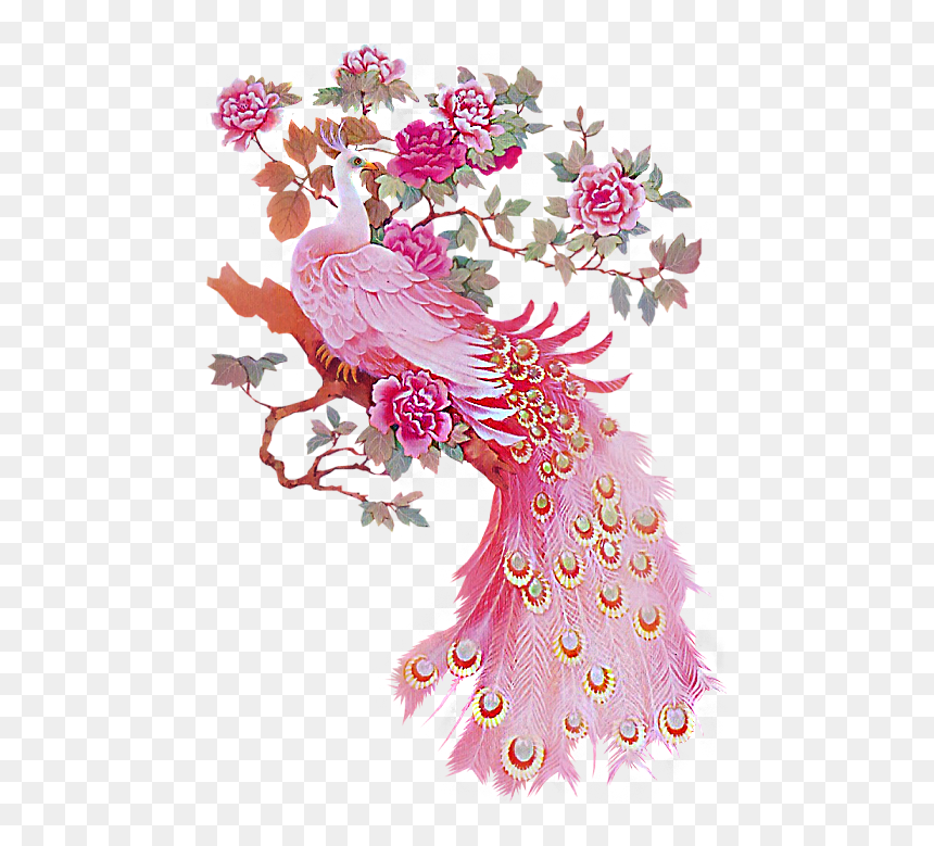 Peacock Png Hd, Transparent Png - peacock png hd