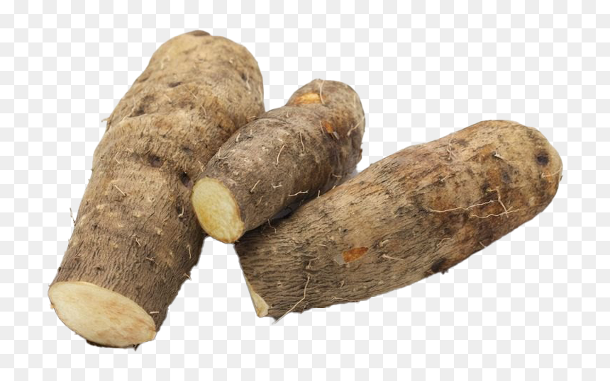Taro Png Transparent Hd Photo - Wood Yam, Png Download - yam png