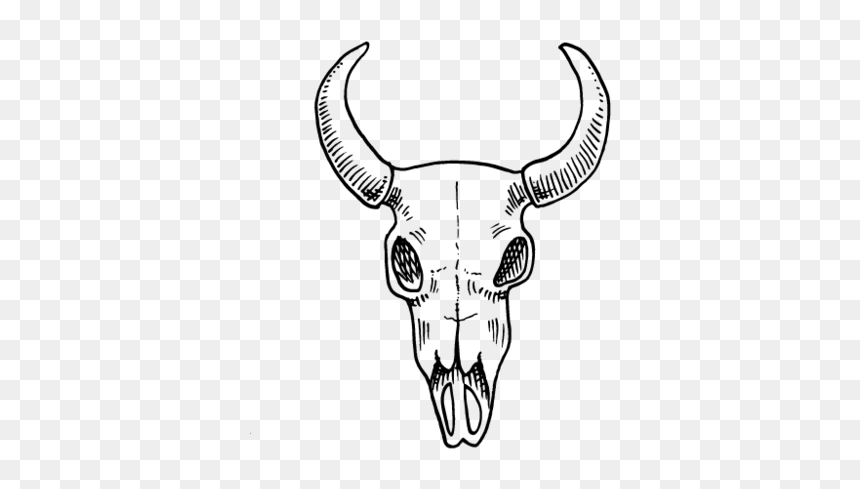 Skull - Bull, HD Png Download - bull skull png