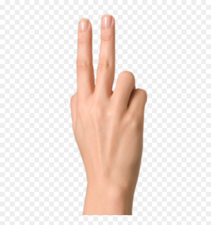 Sign, HD Png Download - corndog png