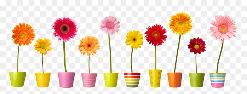 Group Of Romantic Flowers In Vases - Flower Window Clings, HD Png Download - modern flower vase png
