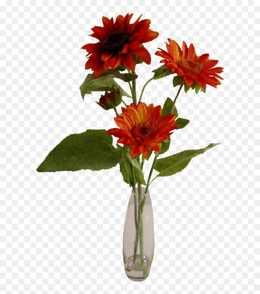 Transparent Flower Vase Png - Common Zinnia, Png Download - flower vase with flowers photography png