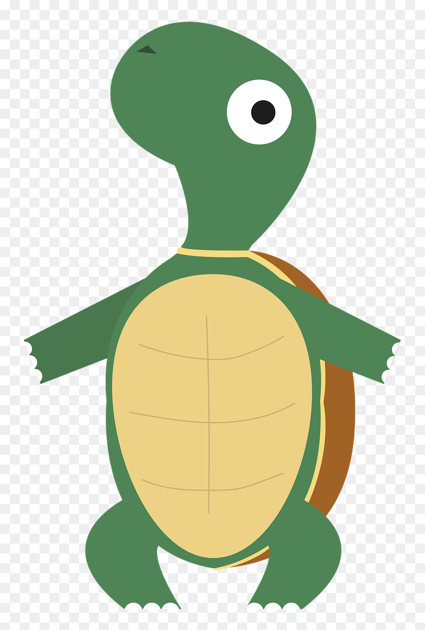 Cartoon, HD Png Download - cute turtle png