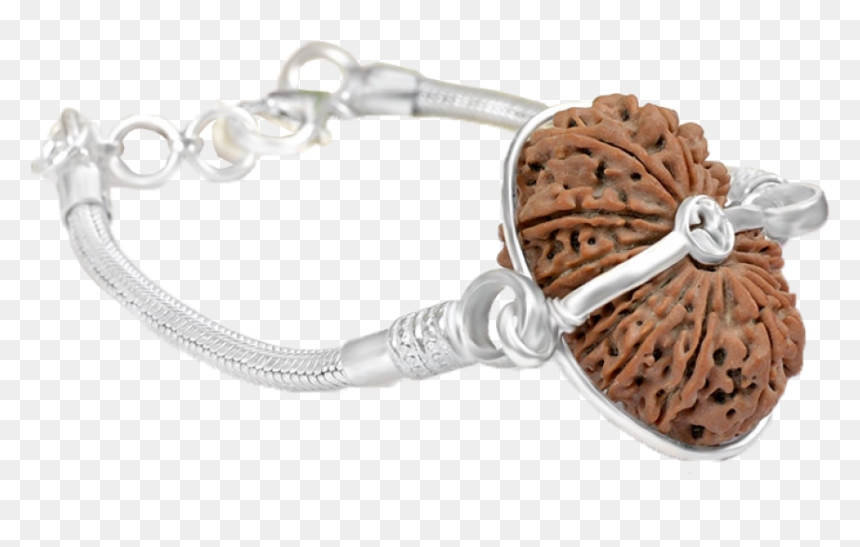 17 Mukhi Rudraksha Nepal Silver Bracelet In Snake Silver - Bracelet, HD Png Download - vishwakarma god png