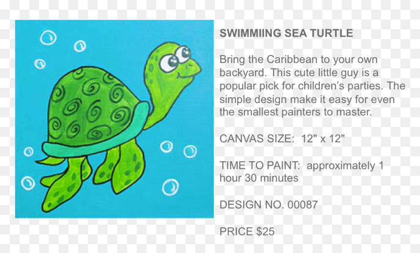 Popup Paint Studio - Pond Turtle, HD Png Download - cute turtle png