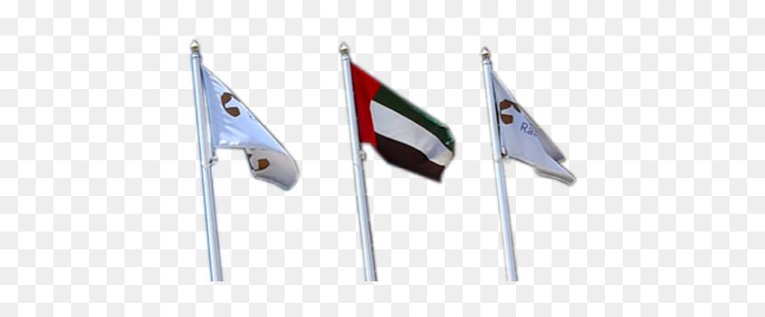 Ivory, HD Png Download - follow us png
