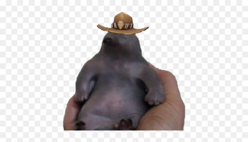 Hippopotamus, HD Png Download - pepehands png