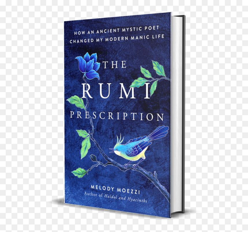 Rumi Prescription 3d - Get Your Life Back John Eldredge, HD Png Download - prescription png