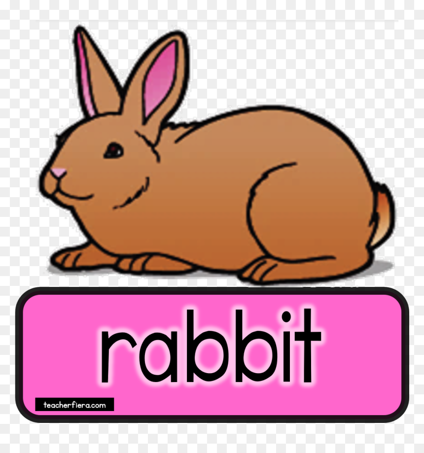 Teacherfiera Com Would Really - Rabbit Clip Art, HD Png Download - bakra png