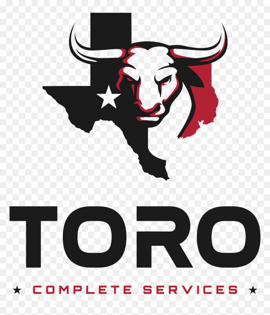 Scaffolding Construction Company Odessa, Tx - State Of Texas Shape, HD Png Download - toro png