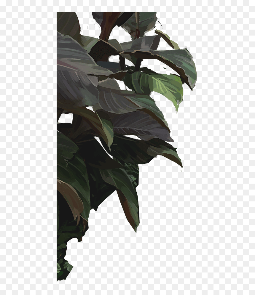 Single Banana Tree Plant - Transparent Gucci Flowers Png, Png Download - single banana tree plant png