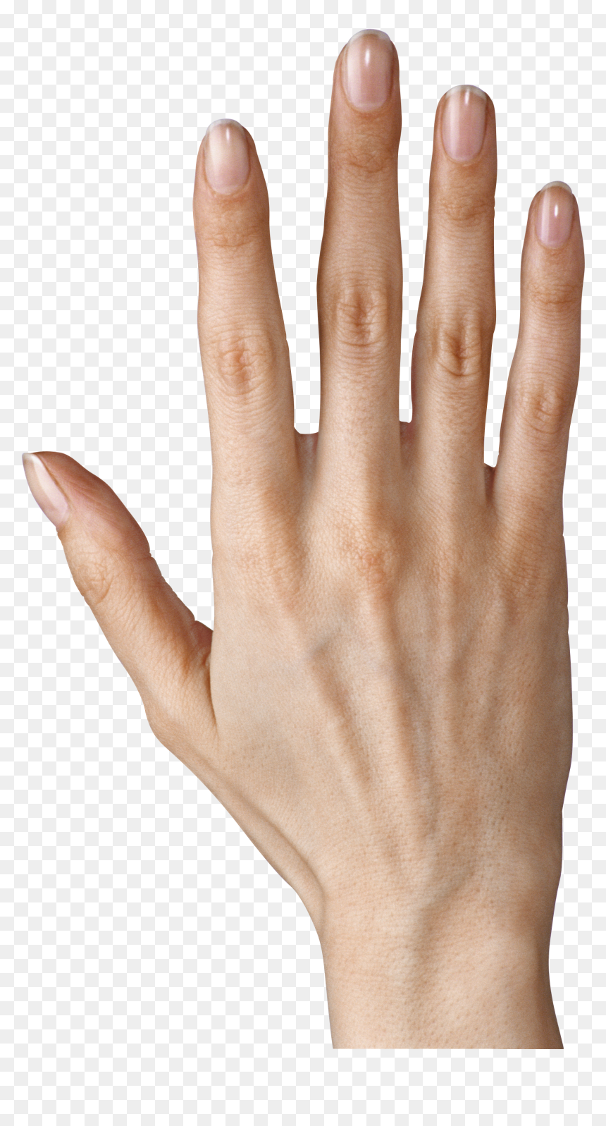 Showing Five Fingers Png - Hand Transparent Background, Png Download - lady finger png