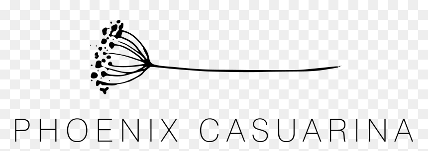 Phoenix Casuarina - Canoeing, HD Png Download - phoenix black and white png