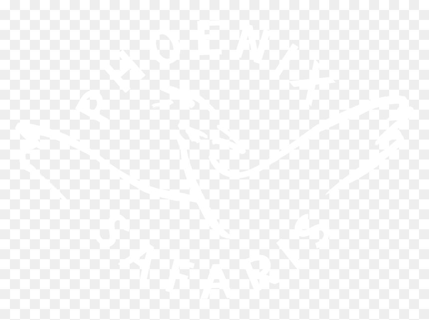 Phoenix Safaris - Calligraphy, HD Png Download - phoenix black and white png