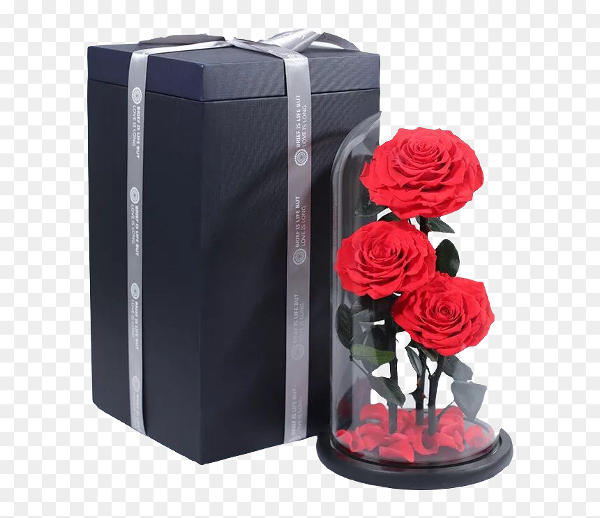 Garden Roses, HD Png Download - wedding rose flower png
