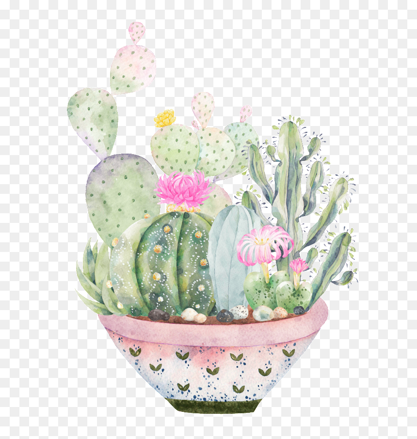 Hand-painted A Large Plate Of Plants Png Transparent - Transparent Succulents Clipart, Png Download - plants png transparent