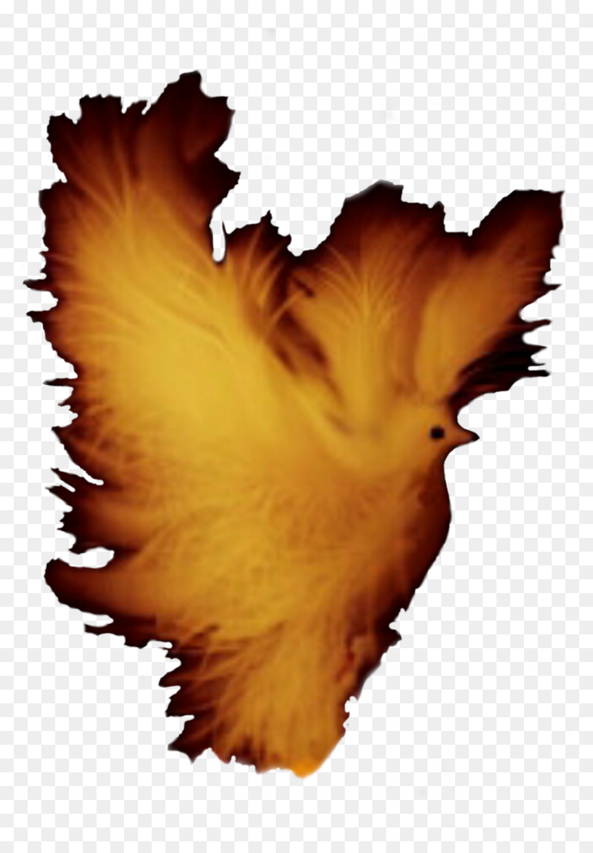 Duck, HD Png Download - flight png