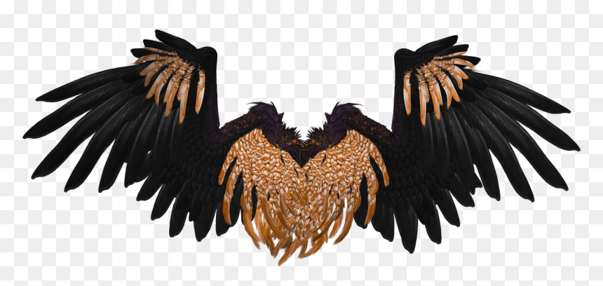Gold And Black Wings, HD Png Download - the crow png