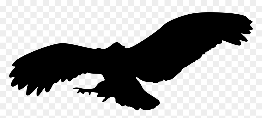 Silhouette Eagle Transparent Background, HD Png Download - flight png