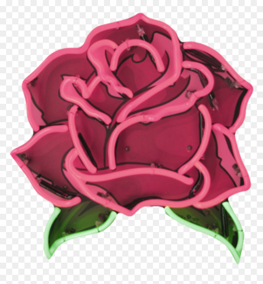 Aesthetic Pictures Of Roses, HD Png Download - red png tumblr
