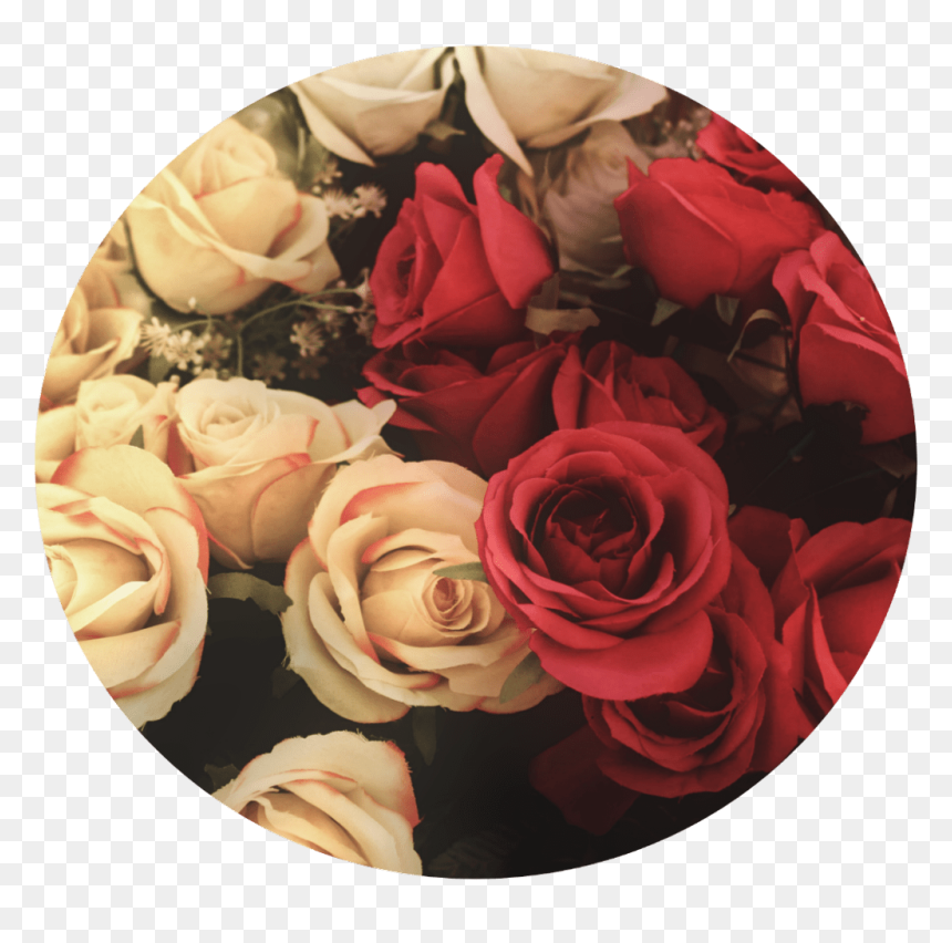Fondo De Flores Flores, HD Png Download - red png tumblr