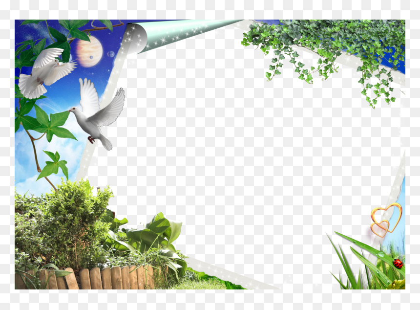 Transparent Photo Frames Png, Png Download - picture frame transparent png