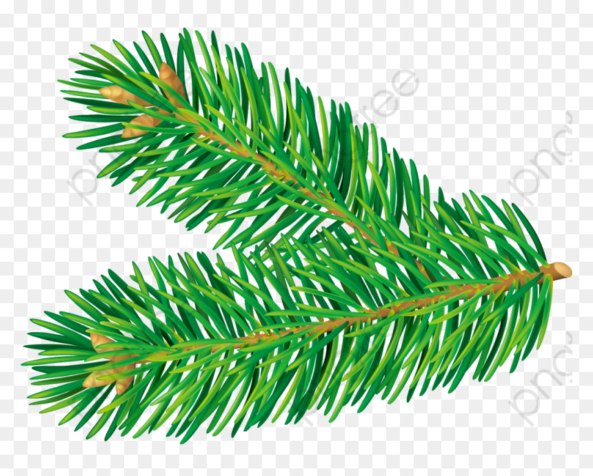 Clip Art, HD Png Download - christmas tree transparent background png
