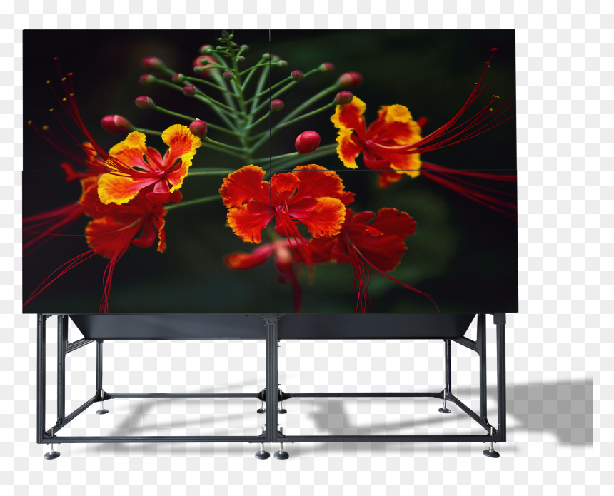 Video Projector, HD Png Download - wall png hd