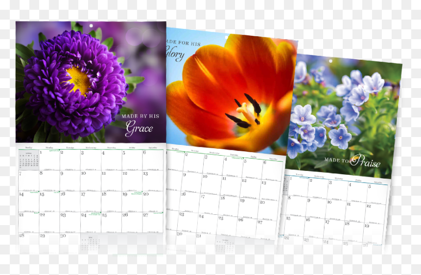 Stunningly Beautiful Month Calendar Png Holidays Png - Tulip, Transparent Png - 2018 calendar png hd