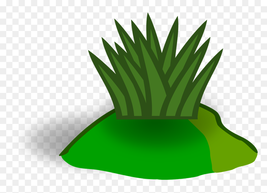 Black And White Grass Clipart, HD Png Download - plants png transparent