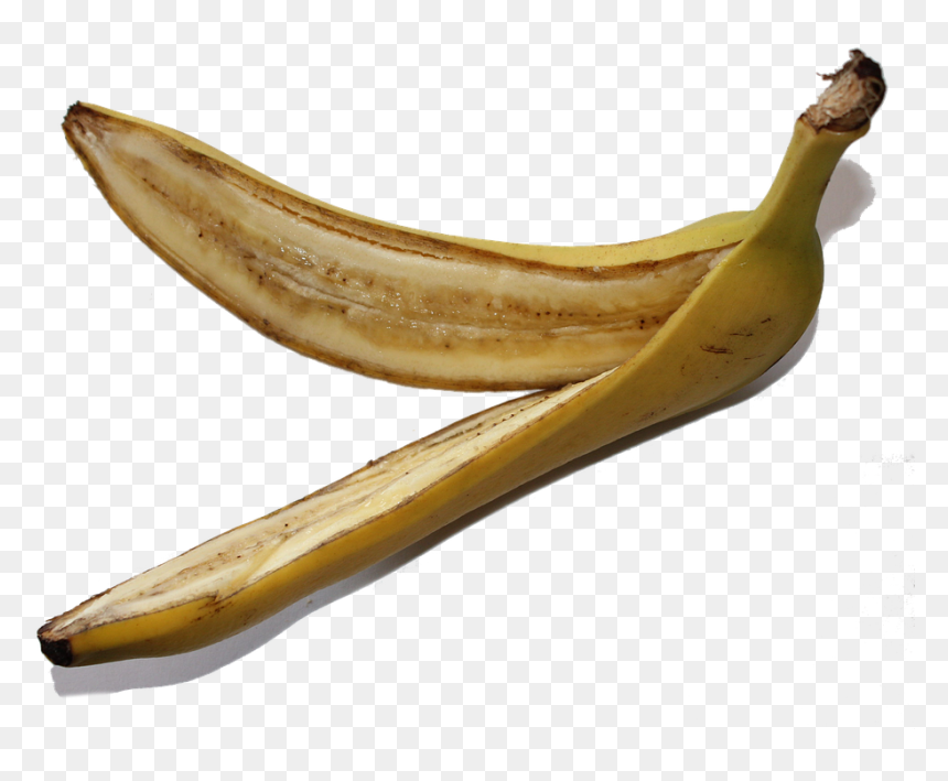 เปลือก ผล ไม้ Png, Transparent Png - single banana tree plant png