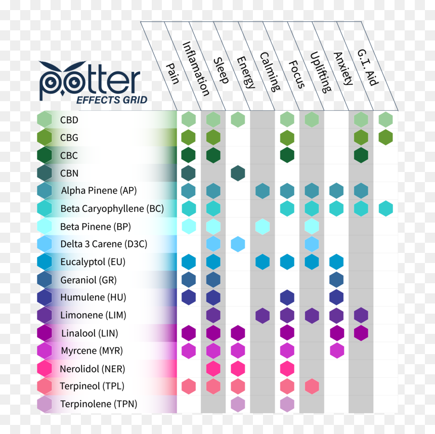 Potter Effects Grid New 2 - Paper Product, HD Png Download - png effects new