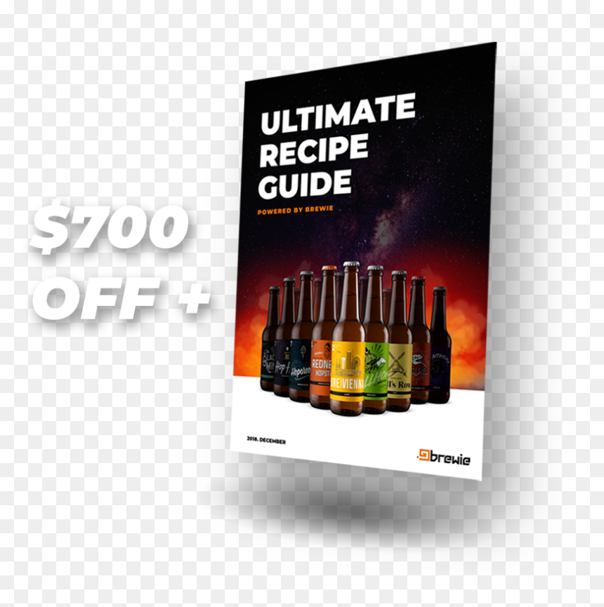 Special Christmas Offer - Flyer, HD Png Download - christmas offer png