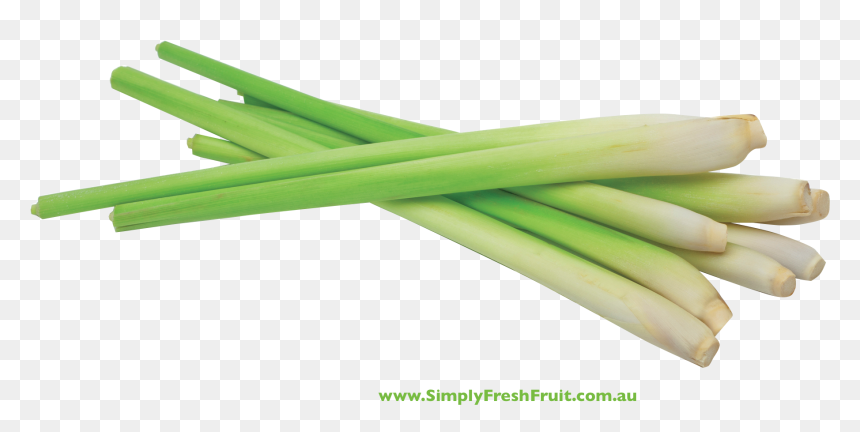 Transparent Lemongrass Png, Png Download - grass top view png