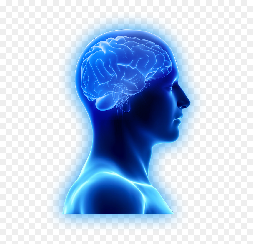 Are Brain Supplements Only For The Aging Brain - Physical And Mental Power, HD Png Download - brain png images