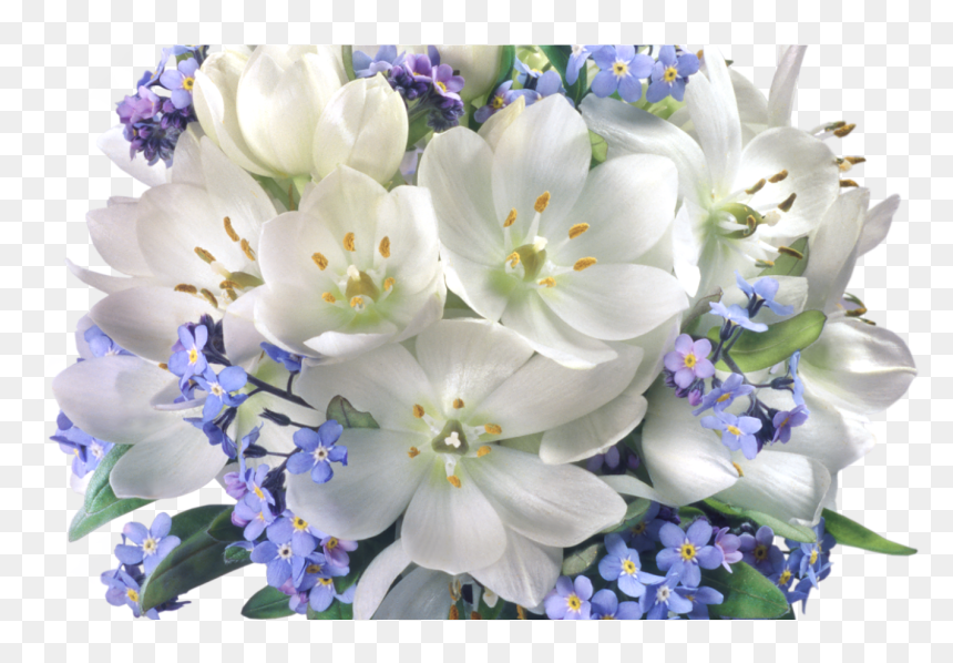 Transparent Crocuses Clipart - Jasmine Flower Bouquet, HD Png Download - flower boke png