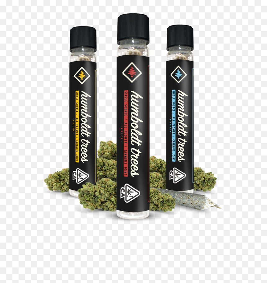 Humboldt Trees Tubes - Lucozade, HD Png Download - single banana tree plant png