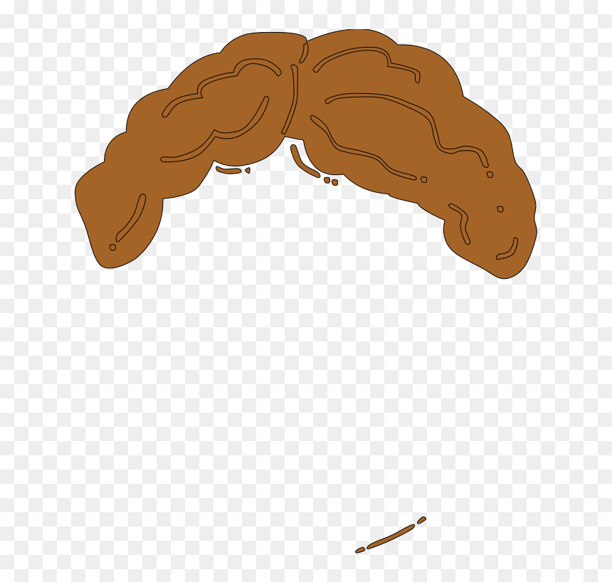 Light Brown Guy Wig Svg Clip Arts, HD Png Download - hair wigs for men png