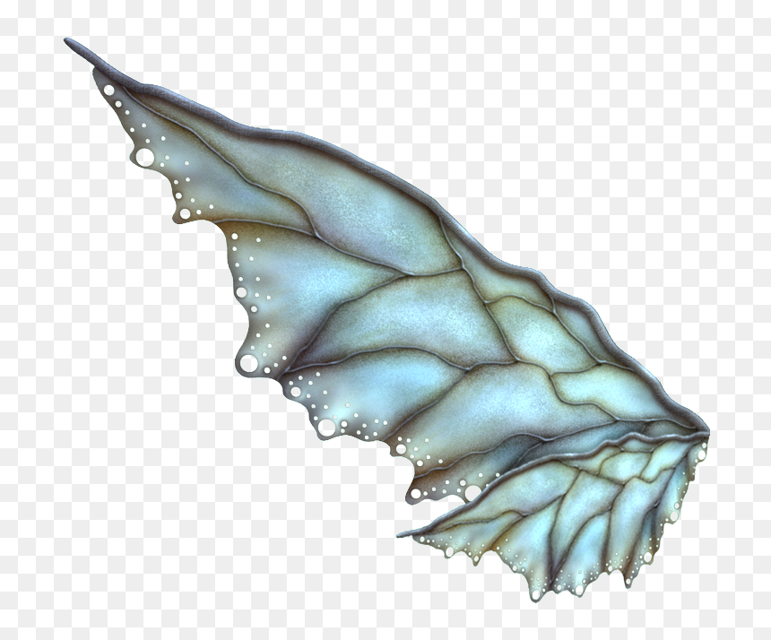 All Photoscape & Photoshop Effects ♥♥♥ - Fantasy Wings, HD Png Download - photoscape background effects png
