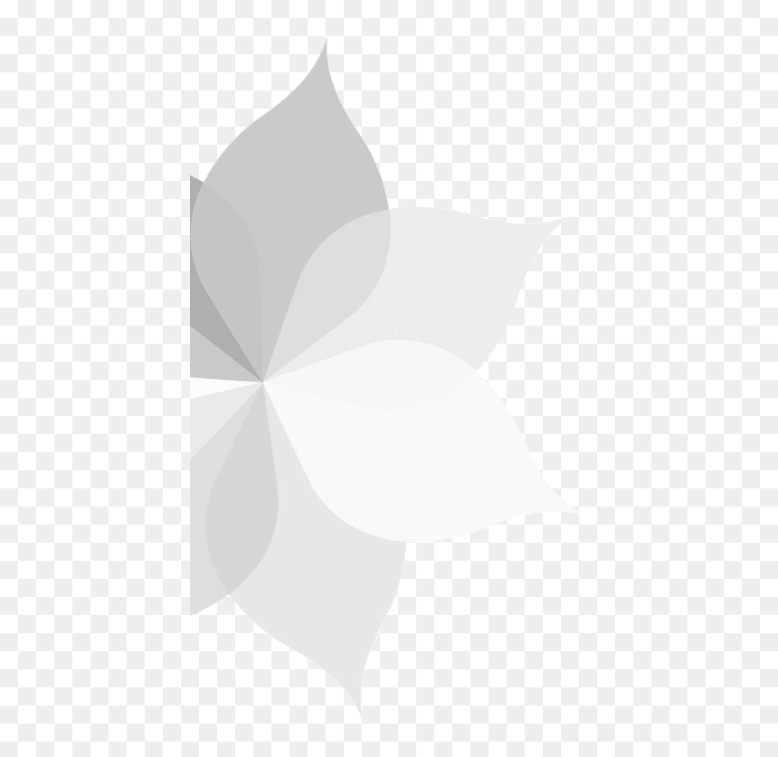 Illustration, HD Png Download - welcome flower png