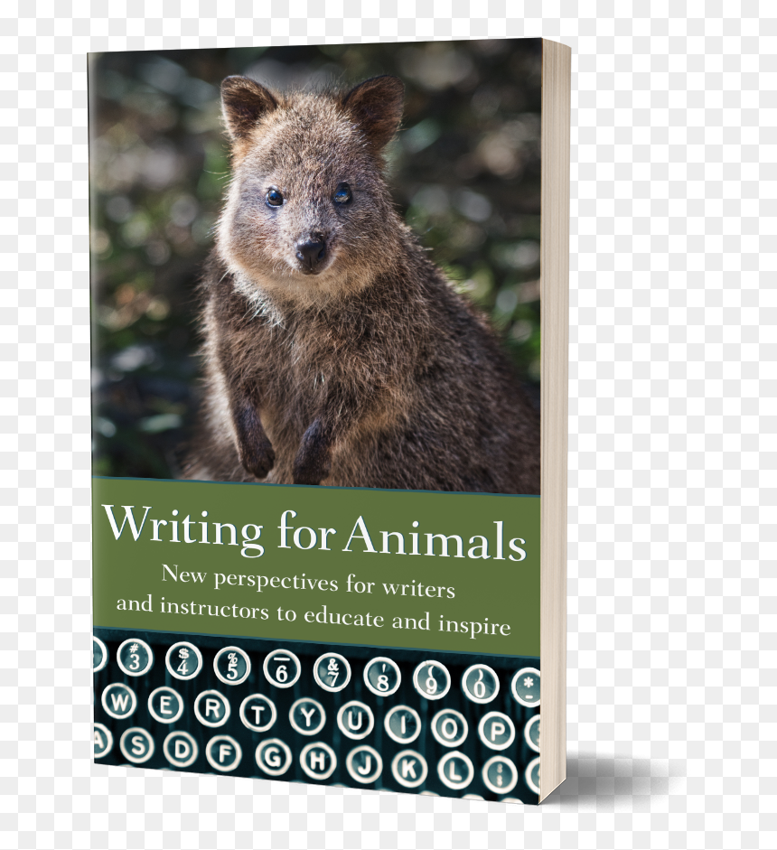 Transparent Animal Png - Writing For Animals: An Anthology For Writers And Instructors, Png Download - animal png images