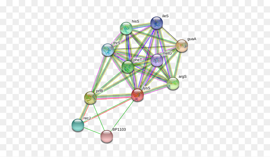 Lyss Protein - Circle, HD Png Download - pheta png