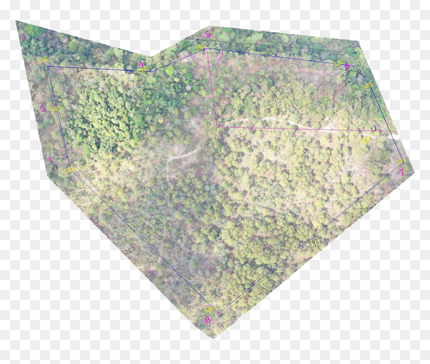 Grass, HD Png Download - grass top view png