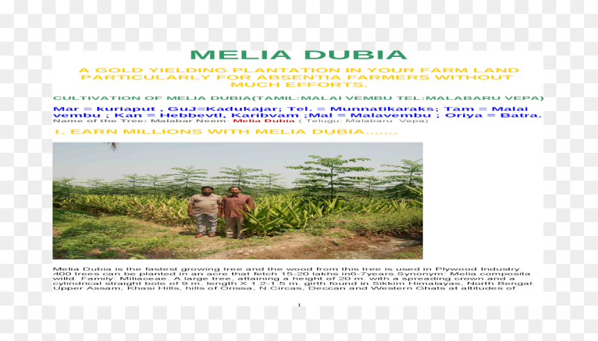 Screenshot, HD Png Download - flower malai photos png