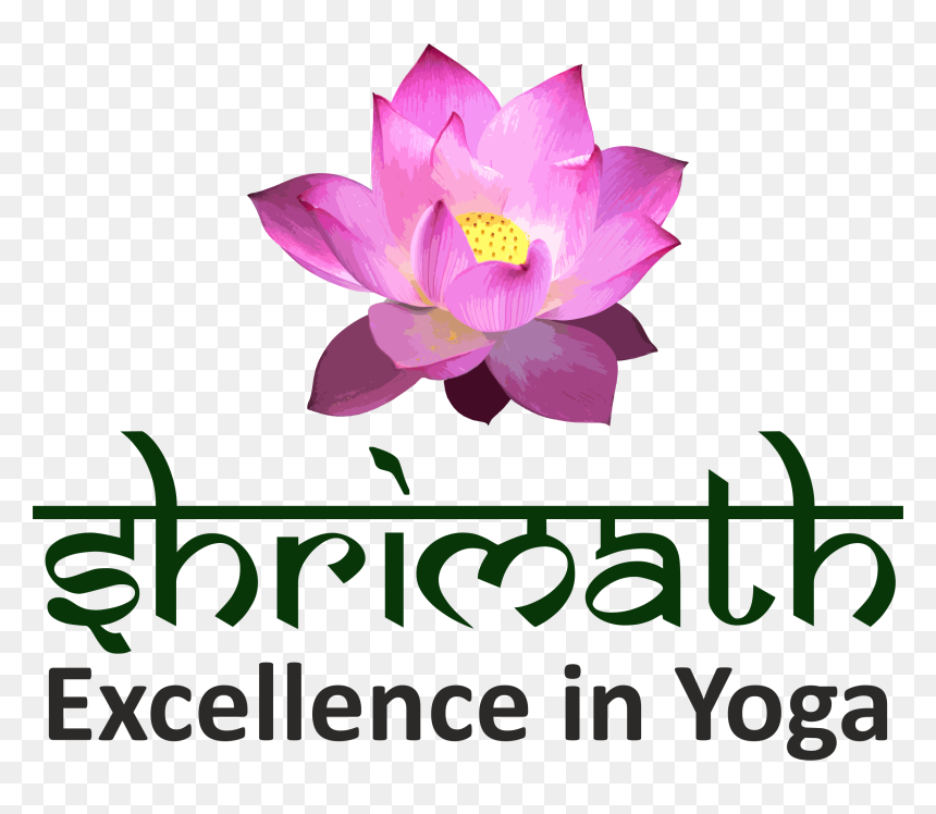 Sacred Lotus, HD Png Download - kamal flower png