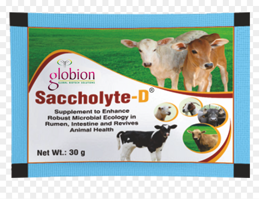 Saccholyte-d Fi, HD Png Download - indian cow with calf png
