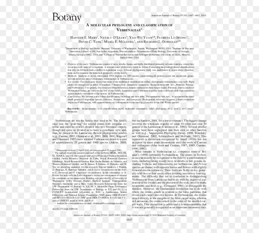 Document, HD Png Download - pheta png