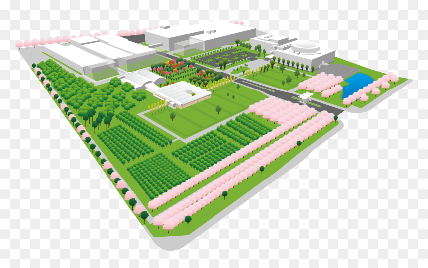 Plan, HD Png Download - grass top view png